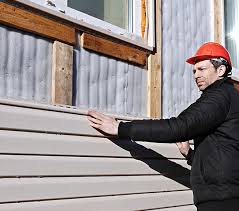 Best Custom Trim and Detailing for Siding  in Fort Meade, FL